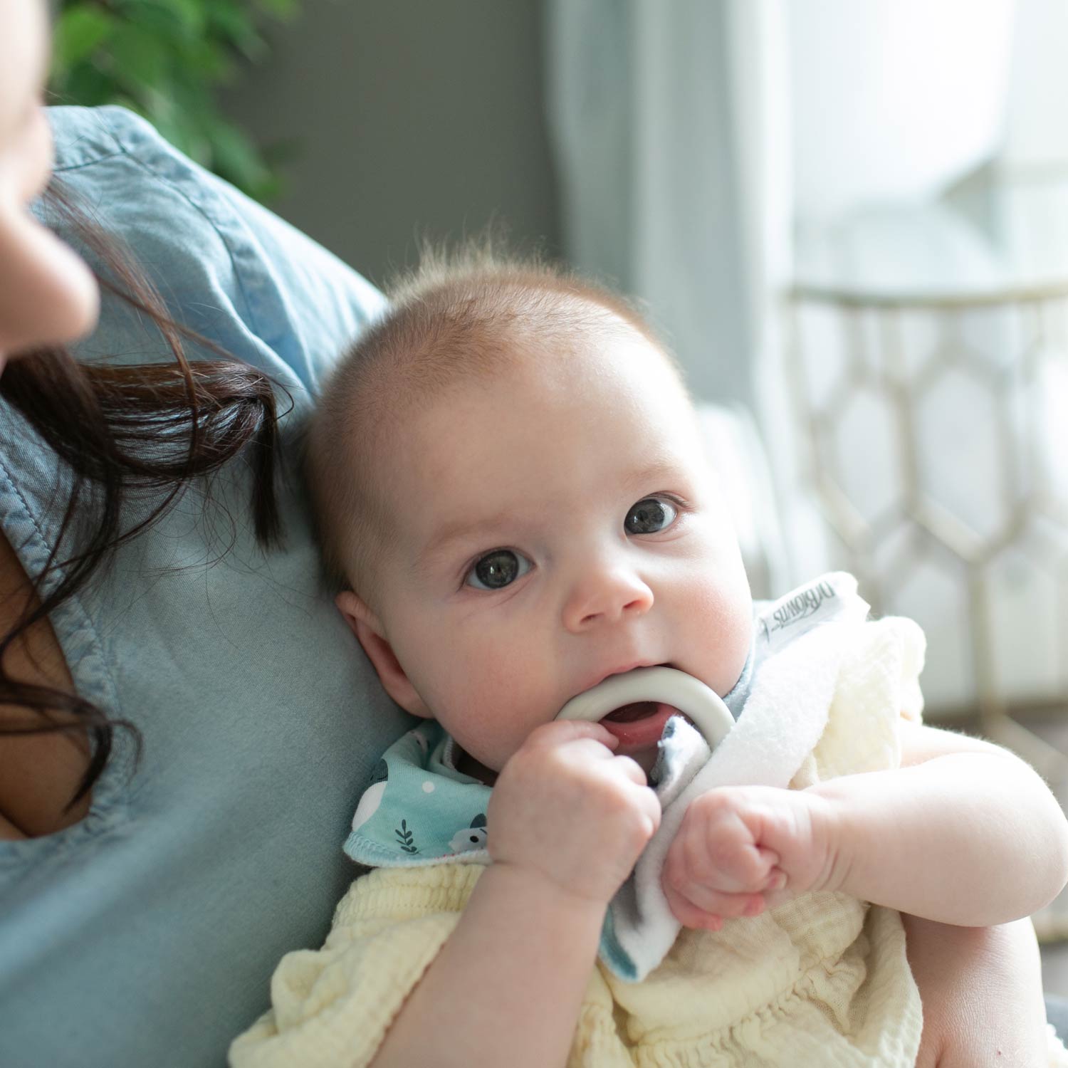 Dr. Brown's™ Bandana Bibs with Removable Teether - Image 4