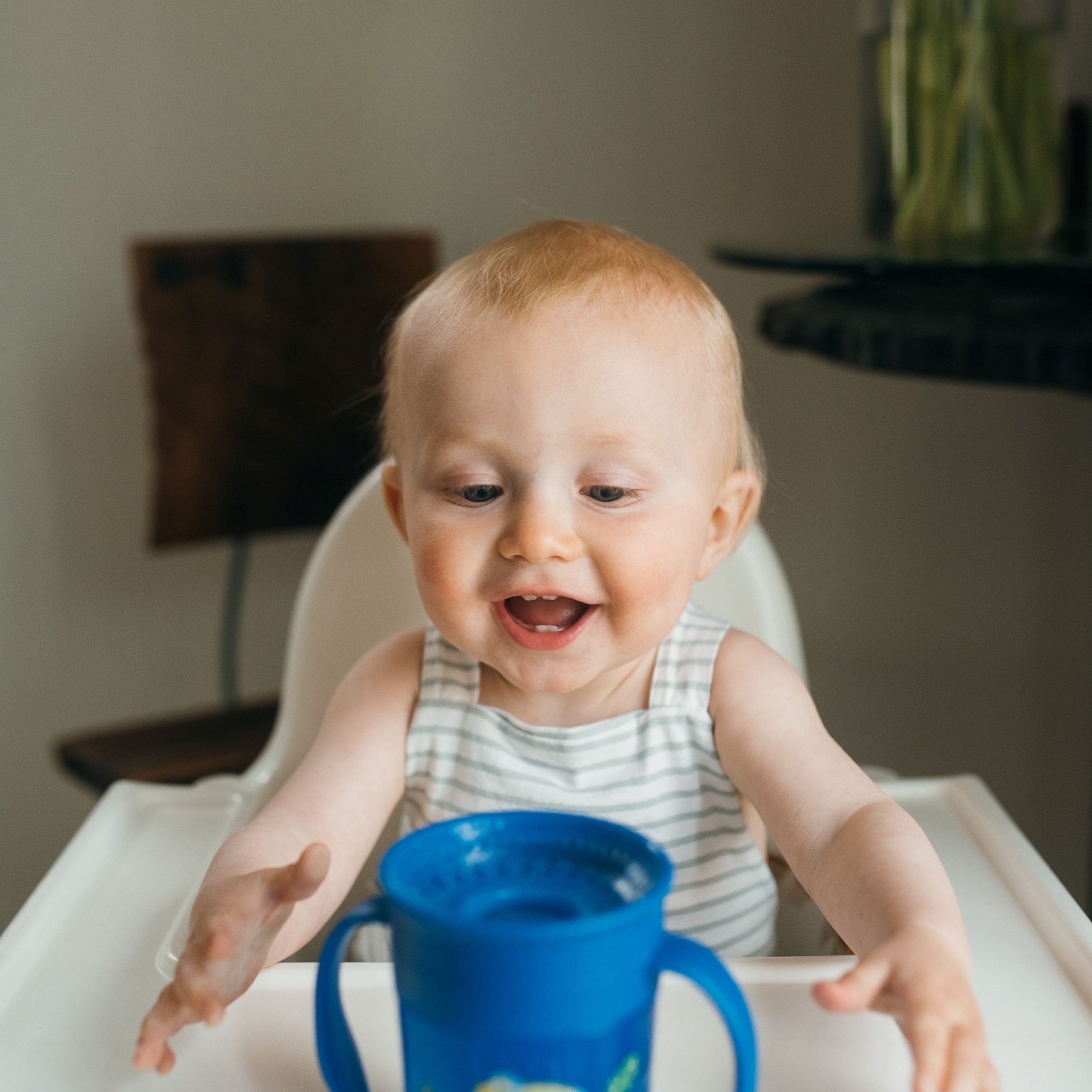 Dr. Brown's® Milestones™ Cheers360™ Cup with Handles. 7 oz/200 Ml - Image 4